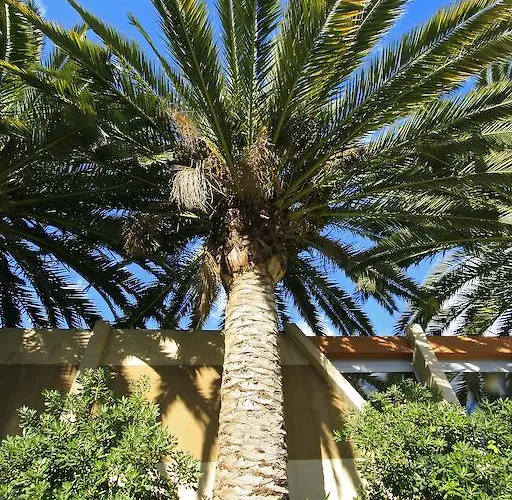 Logis Nimotel 酒店